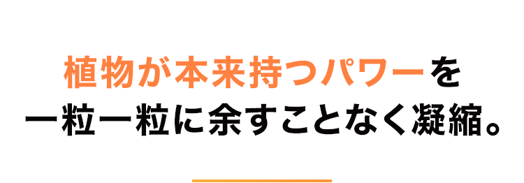 植物が本来持つパワーを一粒一粒に余すことなく凝縮