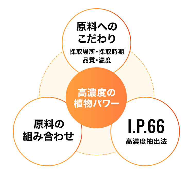 原料へのこだわり採取場所・採取時期品質・濃度　原料の組み合わせ　I.P.66高濃度抽出法　高濃度の植物パワー