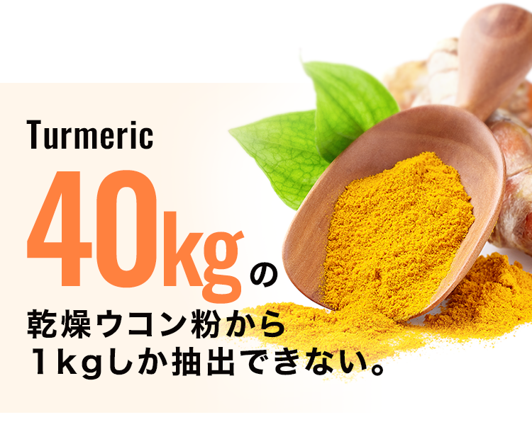 Turmeric 120g 1粒にウコン120g相当のクルクミン配合。